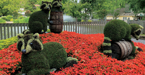 תערוכת הצמחים Mosaïcultures Internationales de Montréal