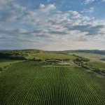 יקב Gurdau Winery בצ’כיה, משתלב בנוף