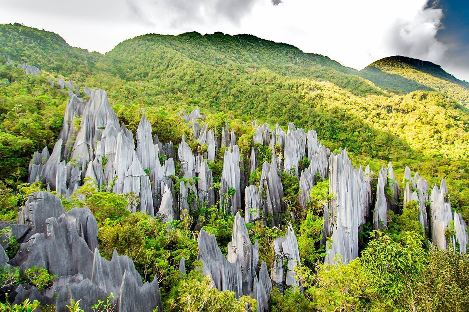 הפארק הלאומי Mulu National Park, מלזיה