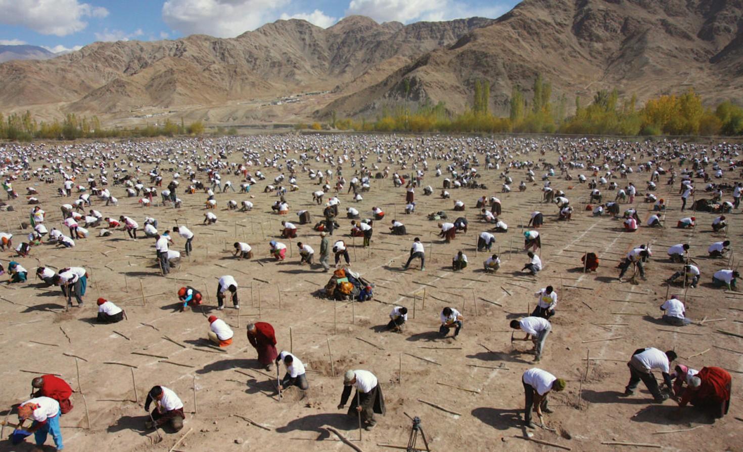 1.5 מיליון מתנדבים, שברו שיא גינס בנטיעת 66 מיליון עצים – ביום אחד, בהודו