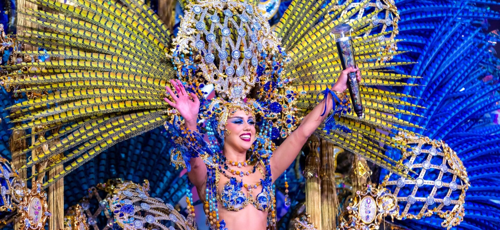 חגיגות קרנבל Carnival festivities in Santa Cruz de Tenerife